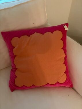Anthropologie velvet pillow!